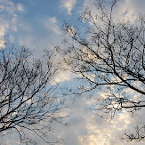 mobile01-47b39c5a36a2a9775f29a3840dbd6c83.jpg