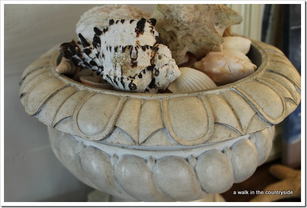 seashells in urn for coastal touch