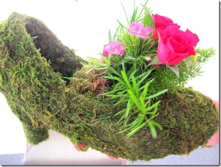 rose on a moss shoe