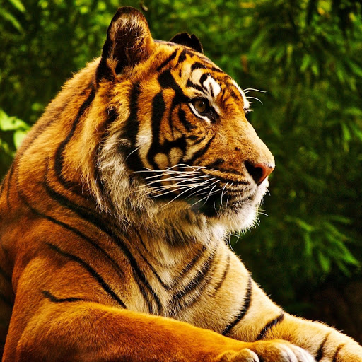 Hd-151108-ascw151108