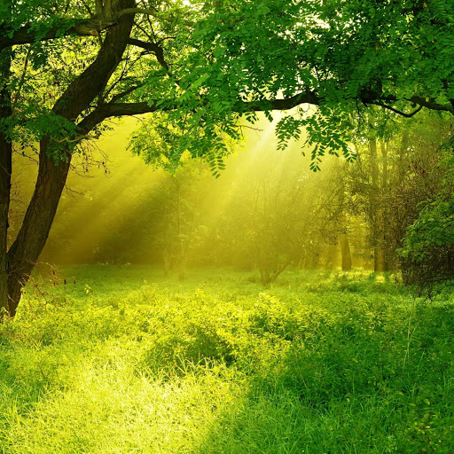 Hd-147439-ascw147439