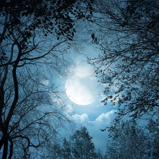 Hd-145536-ascw145536