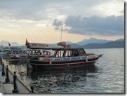 IMG_8029 IMG_8029