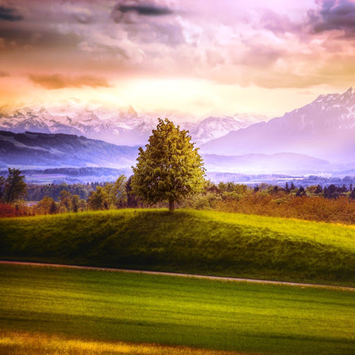 Hd-164278-ascw164278