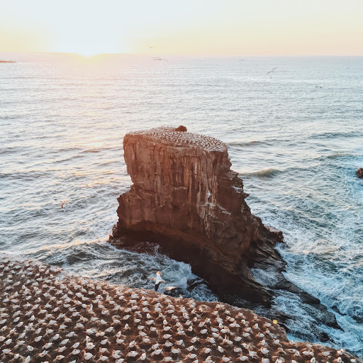 Hd-186283-ascw186283