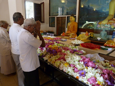 Budism in Sri Lanka: flori ca ofranda