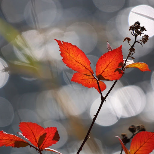 Hd-148097-ascw148097