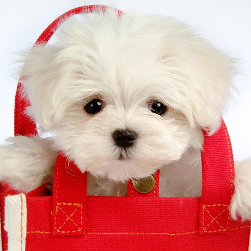 Hd-139178-ascw139178