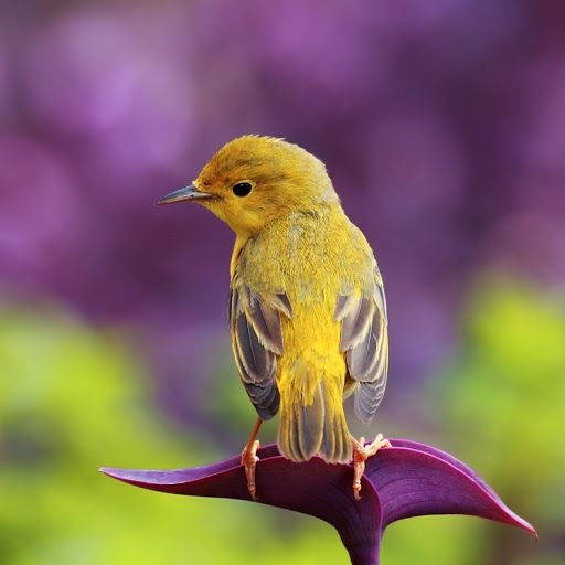 Hd-142769-ascw142769