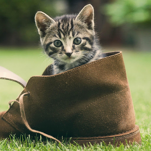 Hd-180645-ascw180645