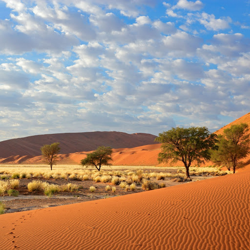 Hd-163800-ascw163800