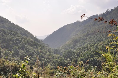 DSC_0604.JPG