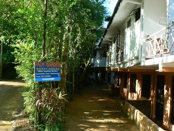 Cazare Sri Lanka: Palm Garden Guesthouse Kandy