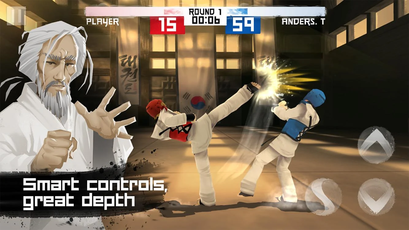   Taekwondo Game: captura de tela 