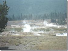 IMG_7119 IMG_7119