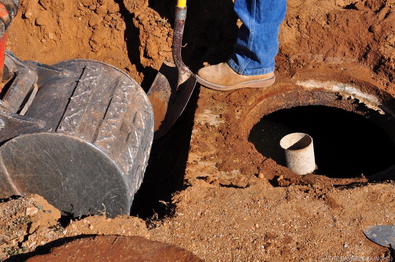 [DSC_0070%255B3%255D.jpg]