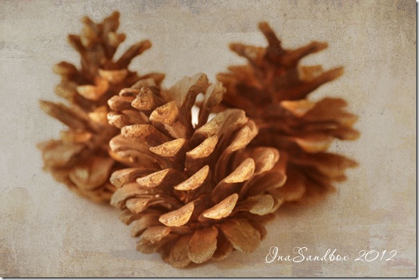 pinecones with kk texture abstract