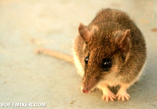 [3474074453_f4c872e6ab_b_thumb%255B2%255D%255B10%255D.jpg]