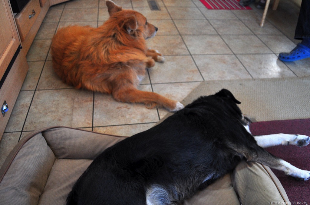 [DSC_0045%255B4%255D.jpg]