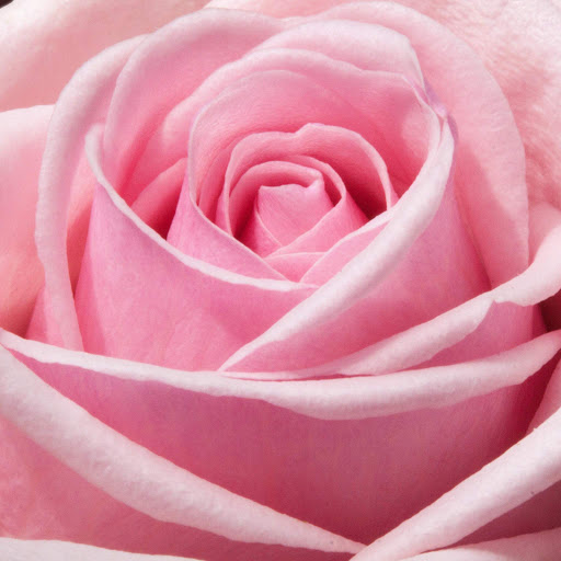 Hd-152528-ascw152528