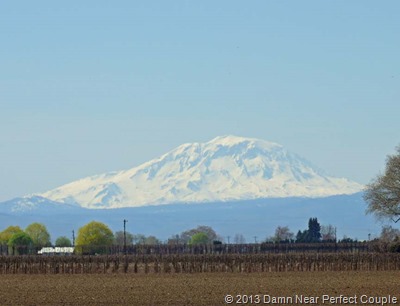 Mt Adams