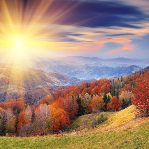 Hd-151395-ascw151395