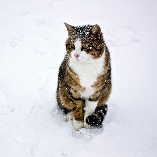 Hd-152730-ascw152730