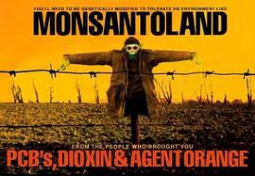 [Monsanto%255B2%255D.jpg]