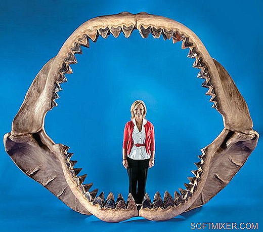 [001xfl%255B11%255D.jpg]