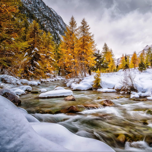 Hd-142250-ascw142250