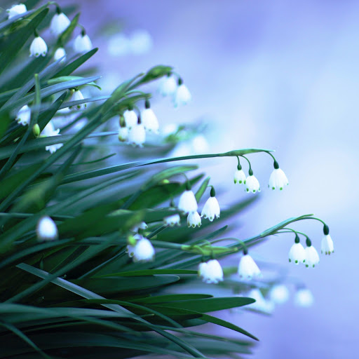 Hd-145935-ascw145935