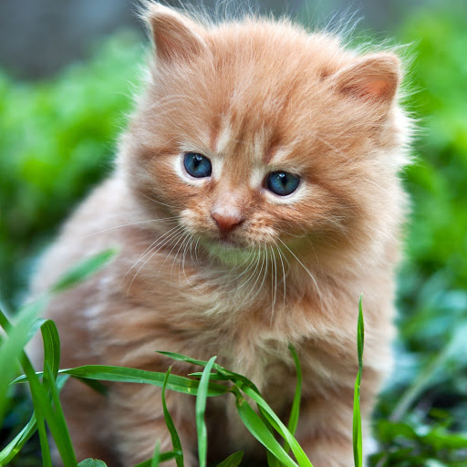 Hd-163749-ascw163749