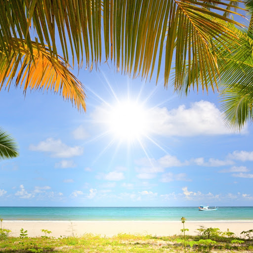 Hd-190517-ascw190517