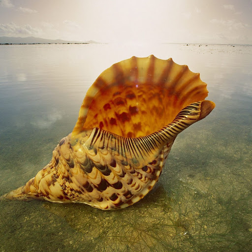 Hd-136912-ascw136912