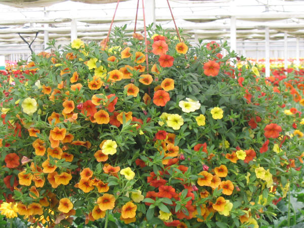 [image%255B11%255D.png]