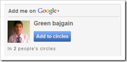 Google Plus profile Widget