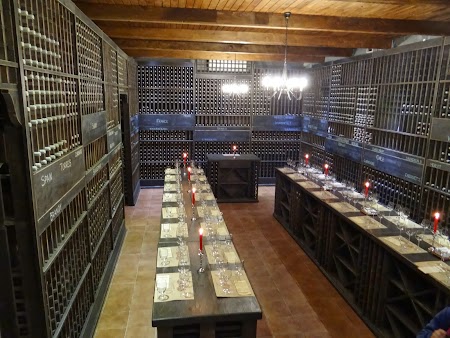 Drumul vinului -Basarabia: Sala degustare Chateau Vartely