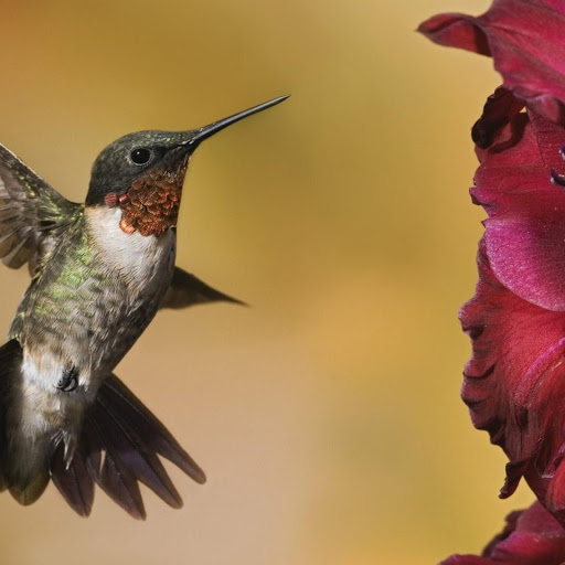 Hd-142968-ascw142968