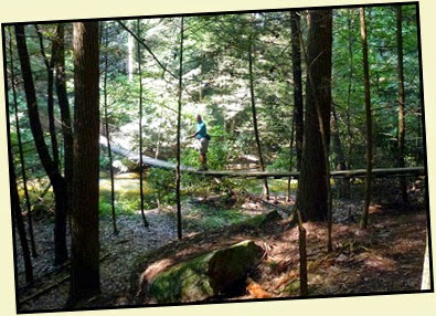 07 - Bill Checking Out the Suspension Bridge