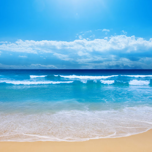 Hd-181815-ascw181815