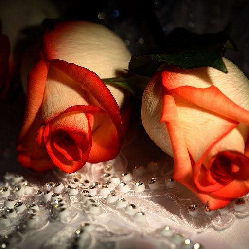 Hd-143852-ascw143852