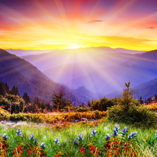 Hd-142132-ascw142132