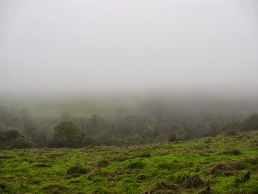 Somerset survey site in the fog