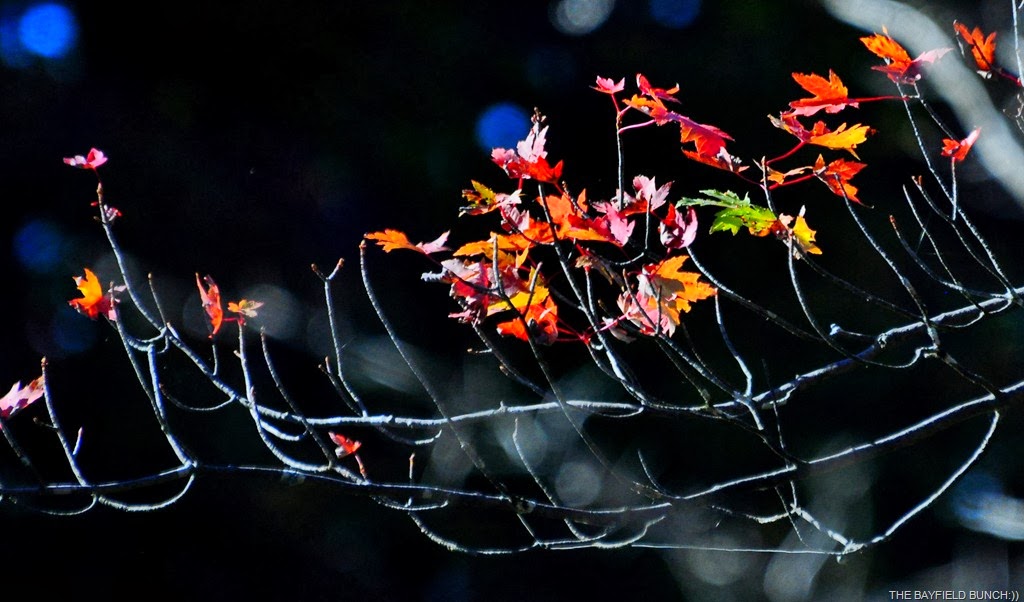 [DSC_0034%255B4%255D.jpg]