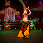 IMG_9224.jpg