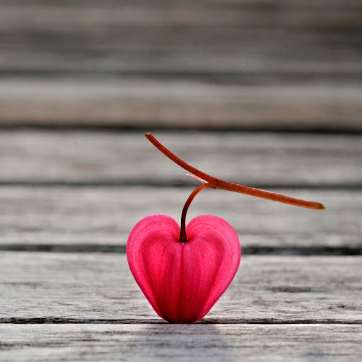 Hd-153398-ascw153398