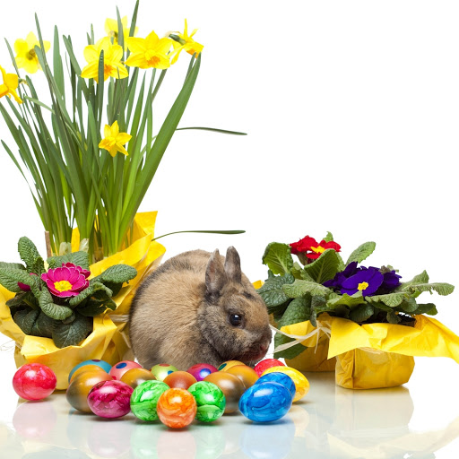 Hd-190480-ascw190480