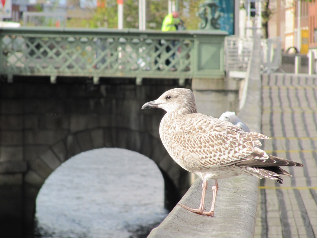 [IMG_3365%255B3%255D.jpg]