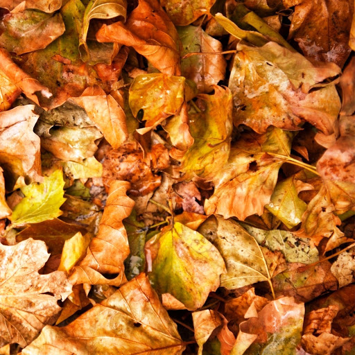 Hd-142715-ascw142715