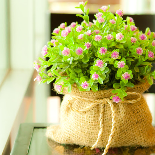 Hd-181773-ascw181773